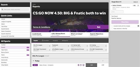 Bets on CS:GO in Betway .